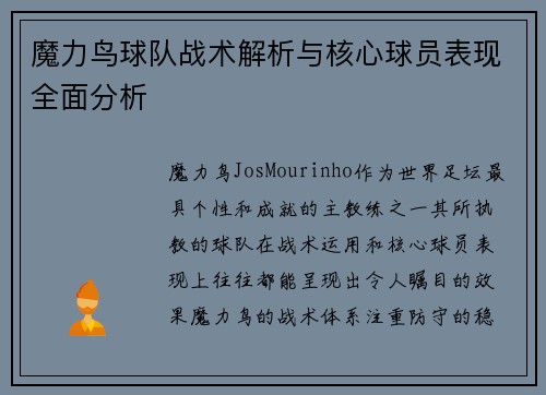 魔力鸟球队战术解析与核心球员表现全面分析